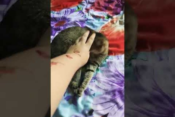 Зеркало на кракен