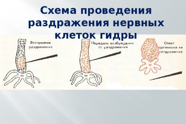 Как зайти в кракен