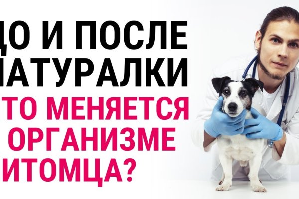 Кракен маркетплейс ссылка на сайт